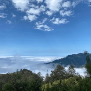 Paisaje de finca santa elena coatepec veracruz