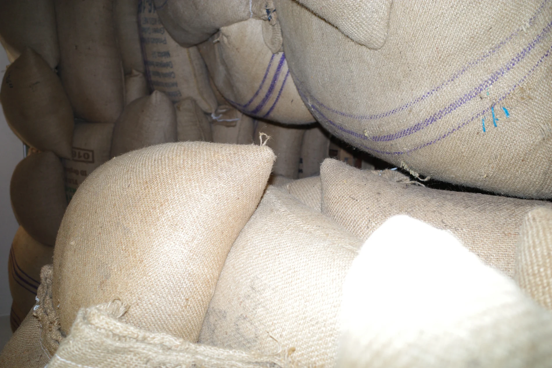 Sacos de Café Santa Elena Coffee Roasters almacenados correctamente