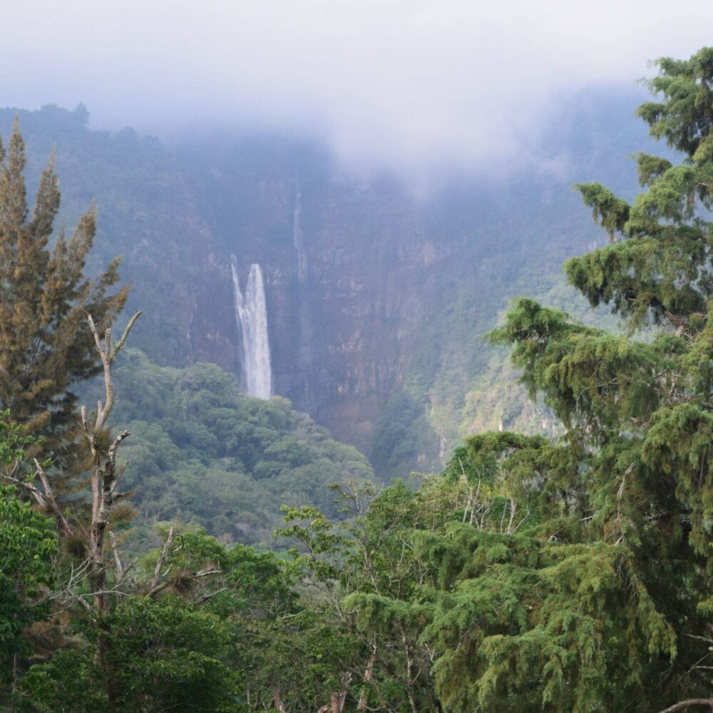 Cascada en bosque mesófilo de montaña de Veracruz