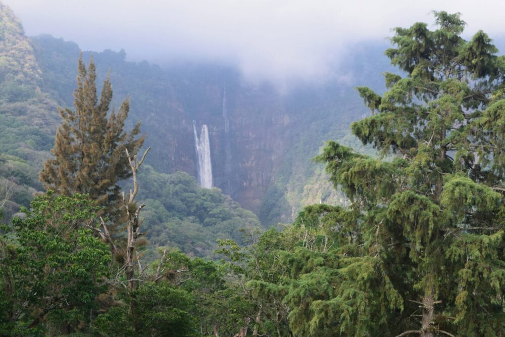 Cascada en bosque mesófilo de montaña de Veracruz