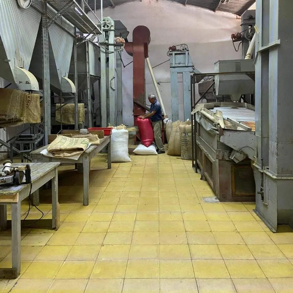 Beneficio de café mexicano