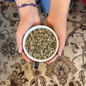 Guía de defectos del café Verde SCA