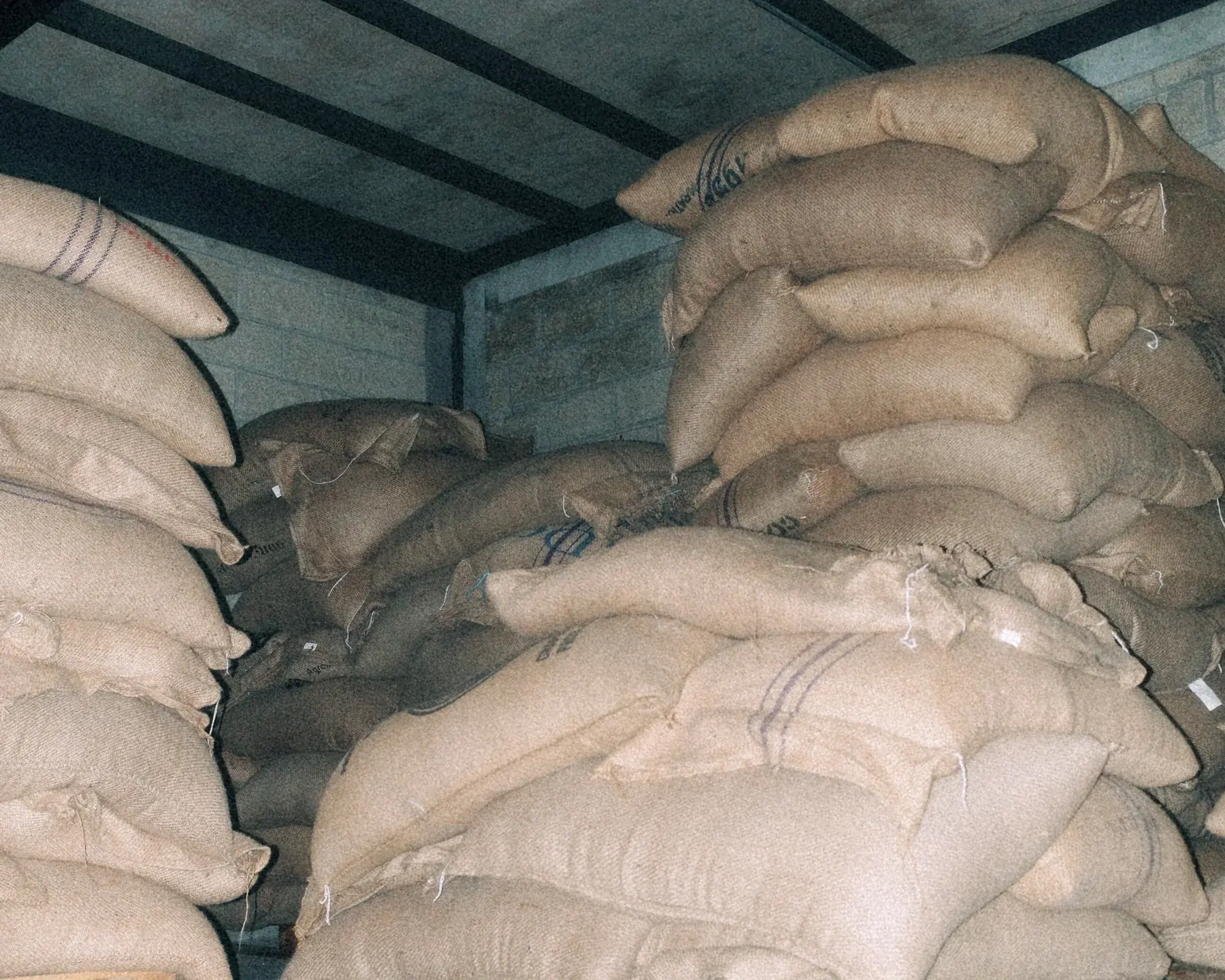 Sacos de café verde al mayoreo listos para tostar