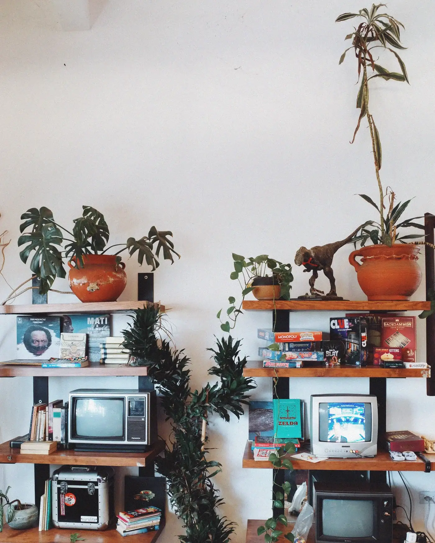 Rincón con plantas y libros