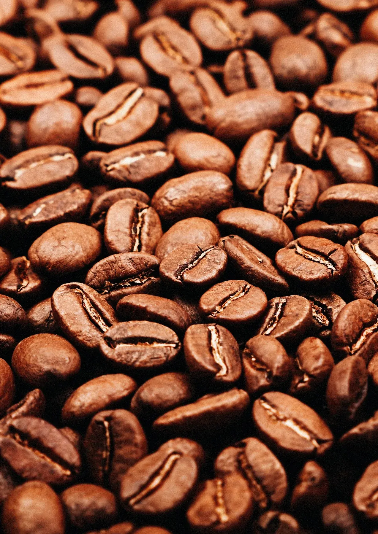 Macro de granos de café recién tostados