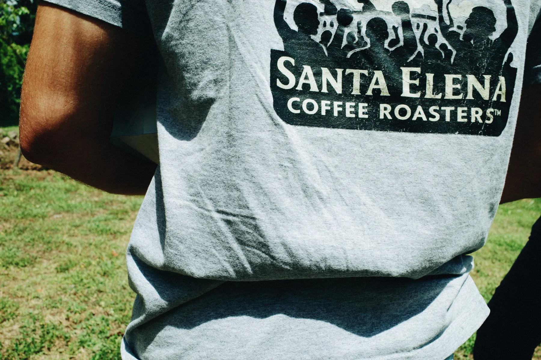 Playera de Santa Elena Coffee Roasters en una finca de café de Veracruz, entre las plantas donde se cultiva el grano