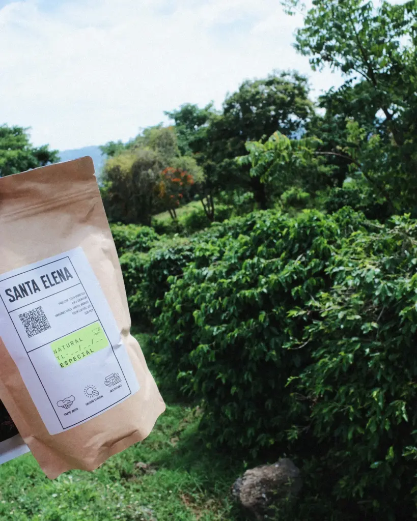 ¿Qué es el café especialidad?