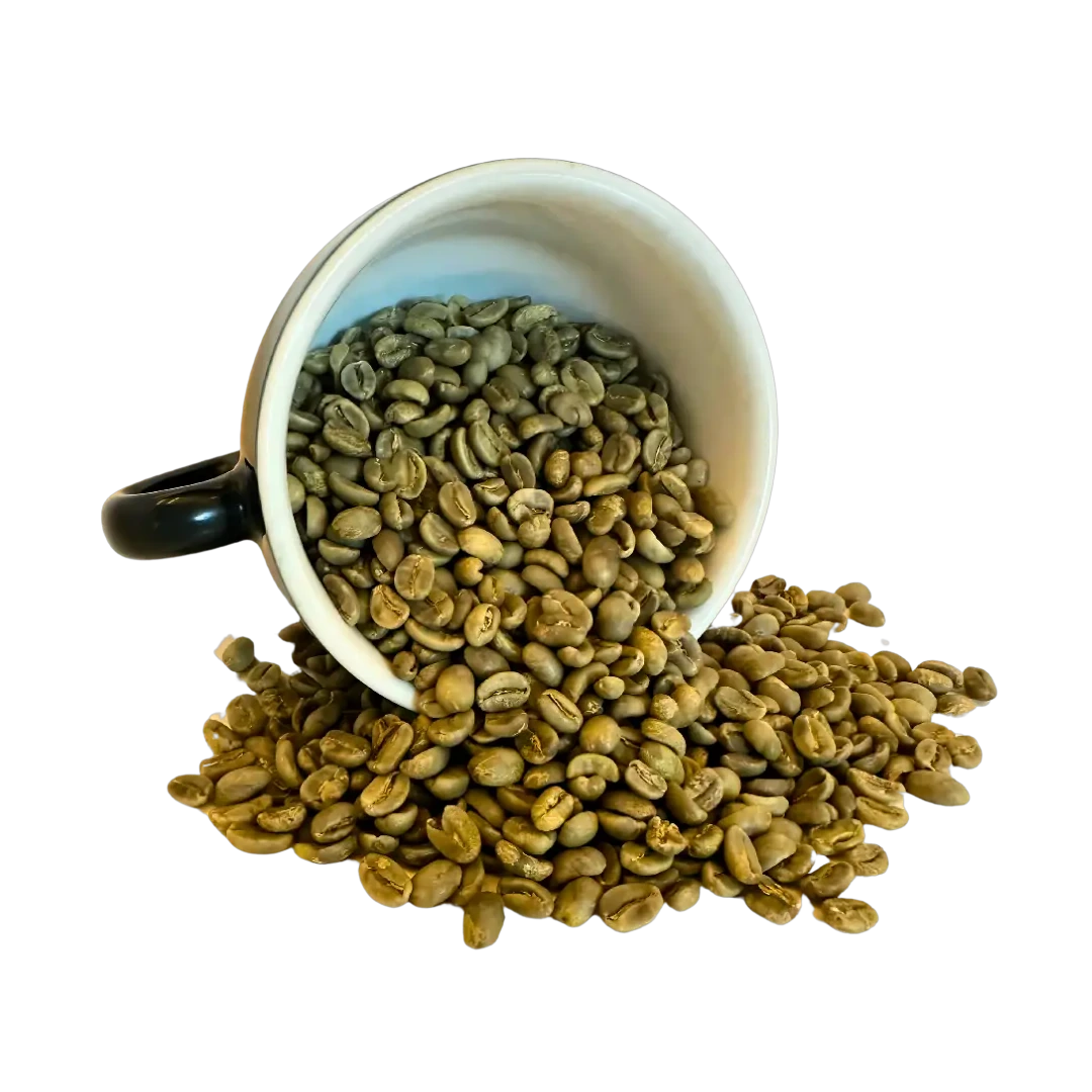Reverso de la bolsa de café verde Santa Elena de 5 kg — grano de altura de Veracruz