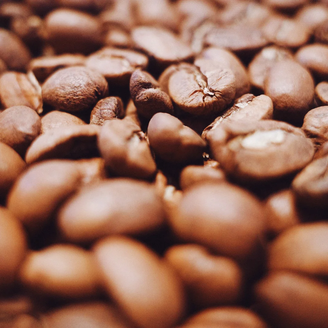 Granos de café lavado de Cosautlán de Santa Elena recién tostados