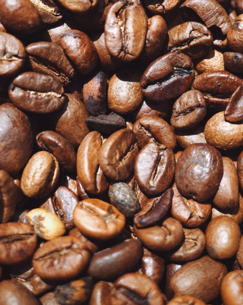 Selección de Defectos del Café Verde y Tostado