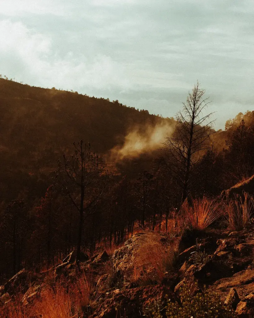 los Incendios en el Cofre de Perote y la Crisis Hídrica en Xalapa
