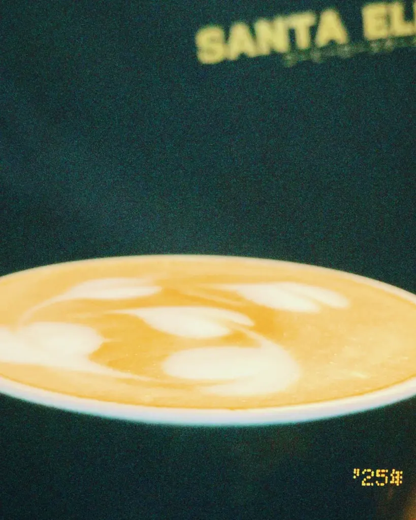 ¿Cuál es el mejor café para tu cafetería?